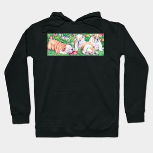 English bulldogs - the ballgame is over Hoodie